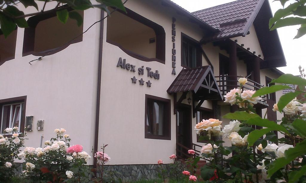 Pensiunea Alex Si Tedi Horezu Εξωτερικό φωτογραφία